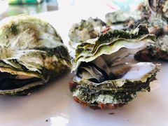 -南蚝小贝海鲜特色餐厅(南澳岛店)