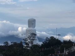 -花岙岛