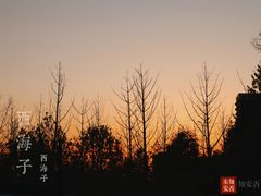 -西海子公园