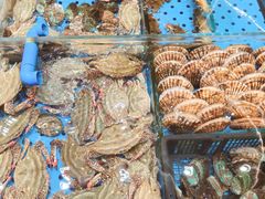 -大连湾旭日·家宴·海肠捞饭(马栏广场店)