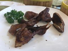 -新梅园不夜粥(龙华店)