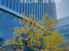 -M Stand(北京平安幸福中心店)