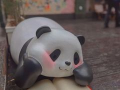 -轩客会(熊猫书店)