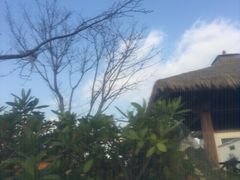 -苏州湾王焰温泉度假酒店