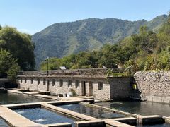 -天源渔港农庄