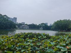 -荔湾湖公园