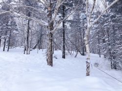 -大秃顶子山
