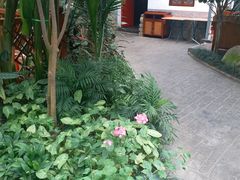 -汤山翠谷生态餐厅