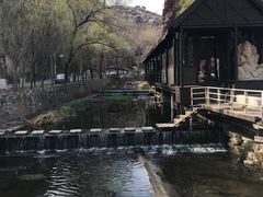-Local泰莲庭(虹鳟鱼店)