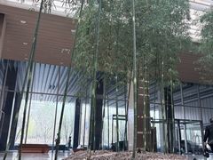 -北京望京凯悦酒店The Lounge大堂酒廊