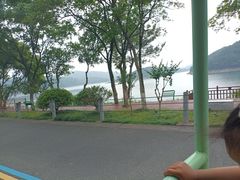 -九龙湖公园