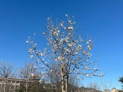 -山东外贸职业学院