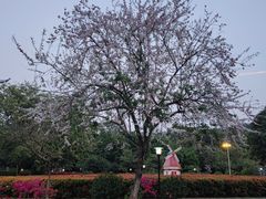 -东莞植物园