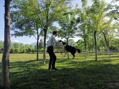 -洨河生态公园