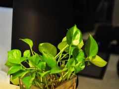 DSC_7022-黎客国际酒店