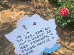-青岛中山公园-索道售票处