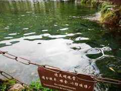 -丽江玉水寨