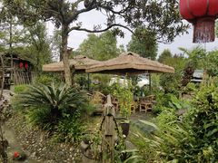 -青城甲(青城山店)