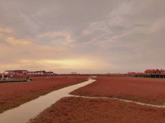 -红海滩国家风景廊道