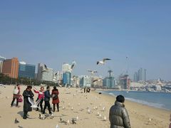 -海云台海滩