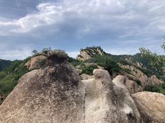 -大岭沟猕猴桃谷风景区