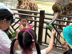 -泉州海丝野生动物世界