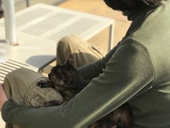 -UNI UNI(环亚凯瑟琳店)