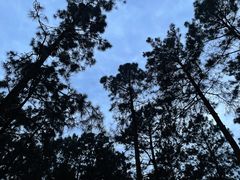 -竹上云想餐厅民宿