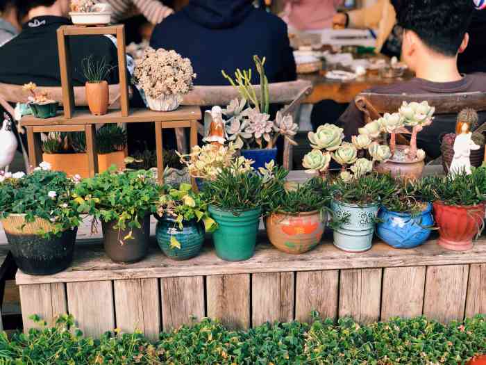 七都花空间-"本来是想来看七都花海的,误打误撞进了花空.
