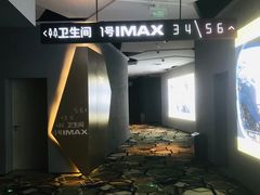 -星河寰宇IMAX影城(星河WORLD·COCO Park店)