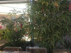 -大熊猫毛肚火锅(烟台万象汇店)