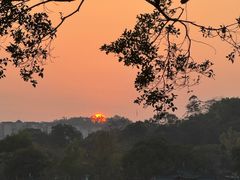 -黎记大排档(慈云路店)