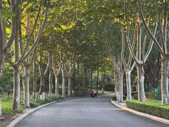 -春晖园度假酒店温泉