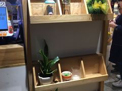 -卡滋贝诺动物奶油生日蛋糕(亚太潮尚店)