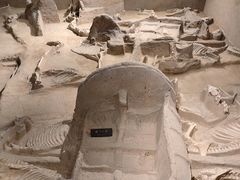 -洛阳周王城天子驾六博物馆