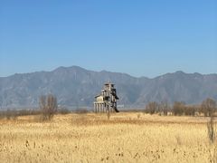 -野鸭湖国家湿地公园