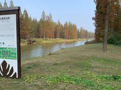 -黄海国家森林公园