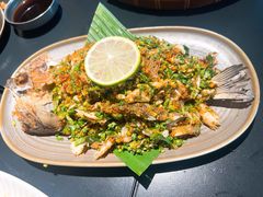 -Ameigo梅果·云贵川bistro(长宁来福士店)