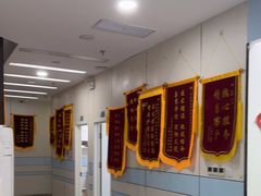 -中农国际动物医院24小时·猫科·骨科·急重症中心