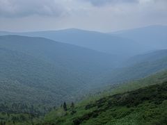 -凤凰山国家森林公园