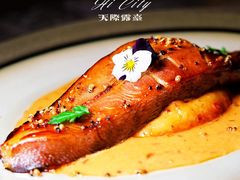 -Hi City·城市之巅