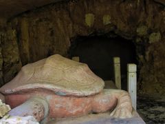 -上海佘山国家森林公园天马山园