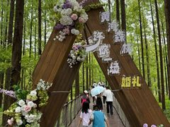 -黄海国家森林公园