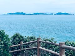 -杨梅坑