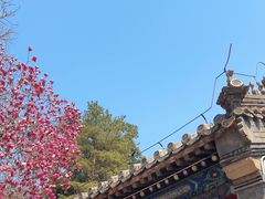 -潭柘寺景区