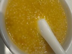 -金鼎轩(方庄天坛店)