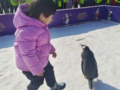 -沈阳奥体冰雪嘉年华