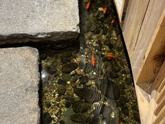 -邈墨茶馆(凤起路店)