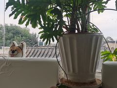 -小时光咖啡馆(北锣鼓巷店)