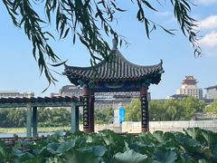 -莲花池公园
